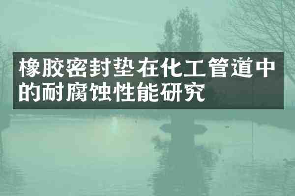 橡胶密封垫在化工管道中的耐腐蚀性能研究
