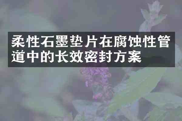 柔性石墨垫片在腐蚀性管道中的长效密封方案