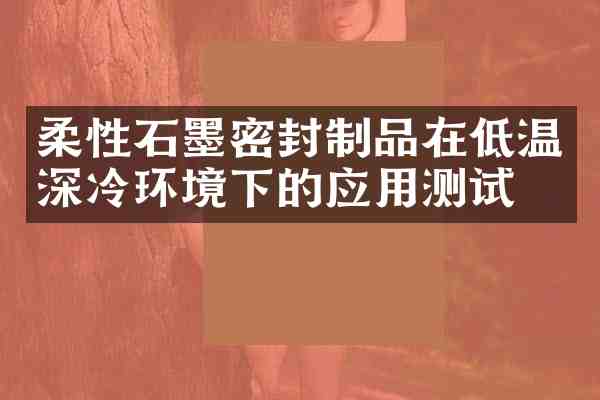 柔性石墨密封制品在低温深冷环境下的应用测试