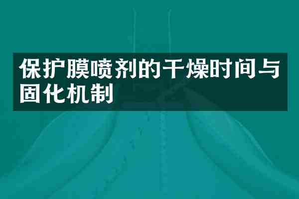保护膜喷剂的干燥时间与固化机制
