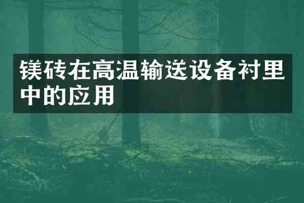 镁砖在高温输送设备衬里中的应用