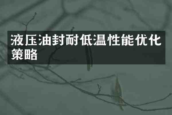 液压油封耐低温性能优化策略