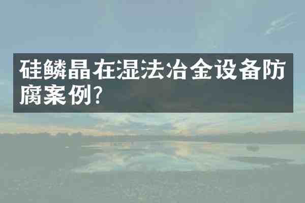 硅鳞晶在湿法冶金设备防腐案例?
