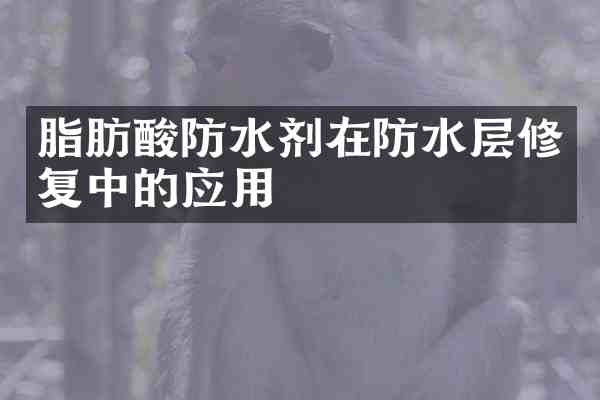脂肪酸防水剂在防水层修复中的应用