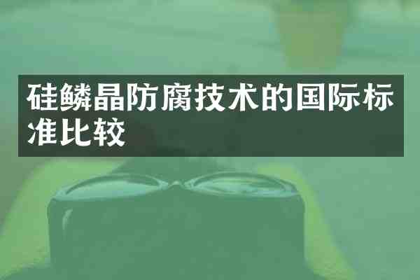 硅鳞晶防腐技术的国际标准比较