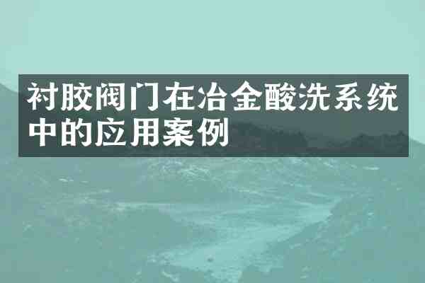 衬胶阀门在冶金酸洗系统中的应用案例