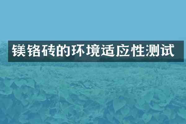 镁铬砖的环境适应性测试