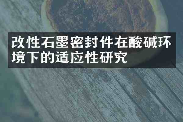 改性石墨密封件在酸碱环境下的适应性研究