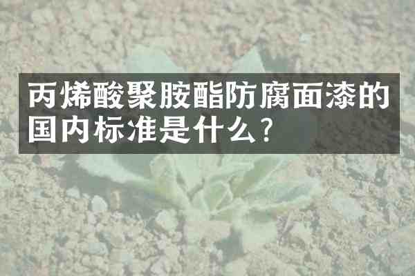丙烯酸聚胺酯防腐面漆的国内标准是什么?