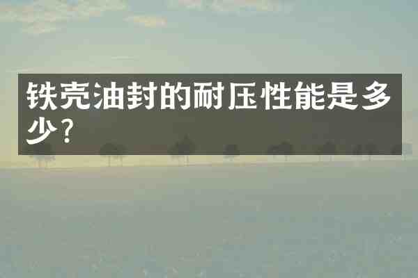 铁壳油封的耐压性能是多少？