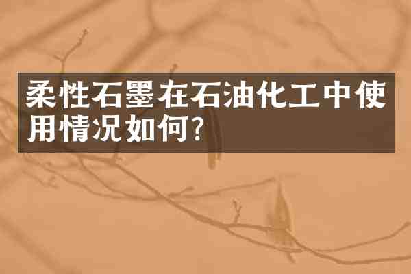 柔性石墨在石油化工中使用情况如何?