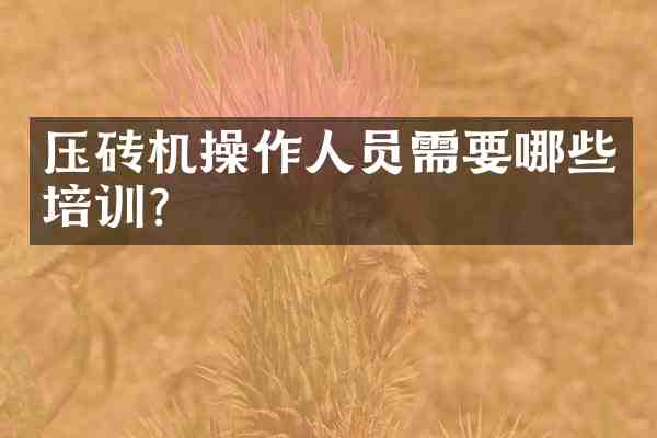 压砖机操作人员需要哪些培训?