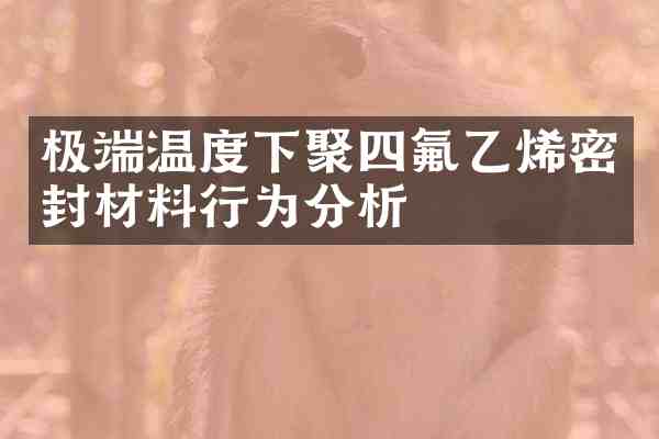 极端温度下聚四氟乙烯密封材料行为分析