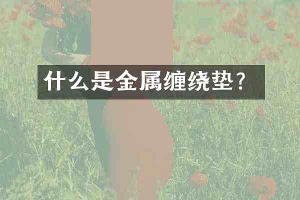 什么是金属缠绕垫?