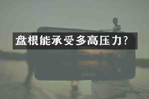 盘根能承受多高压力?
