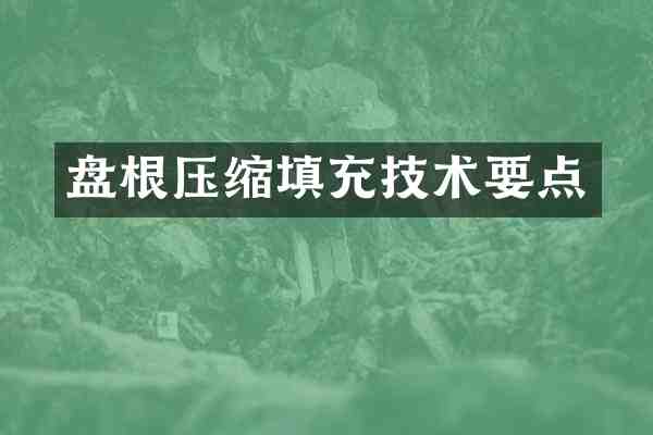 盘根压缩填充技术要点