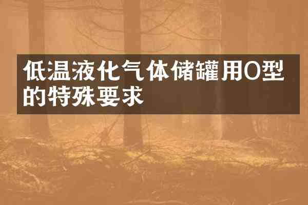 低温液化气体储罐用O型圈的特殊要求
