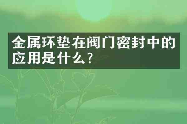 金属环垫在阀门密封中的应用是什么?