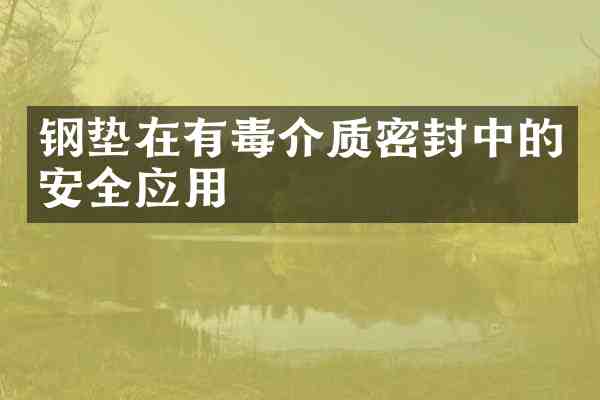 钢垫在有毒介质密封中的安全应用