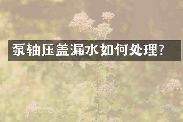 泵轴压盖漏水如何处理?