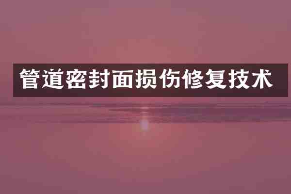 管道密封面损伤修复技术