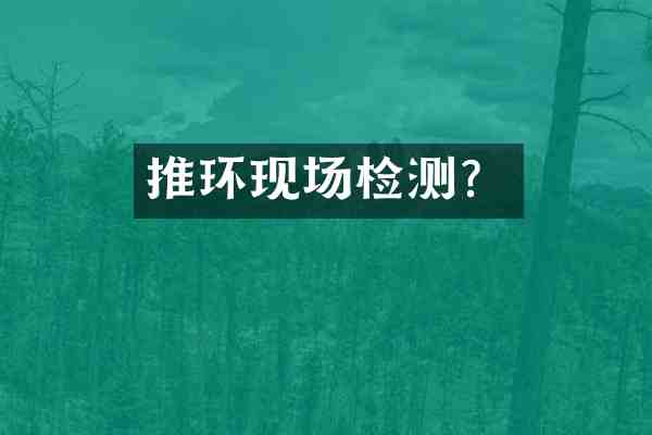 推环现场检测?