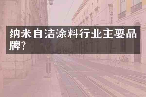 纳米自洁涂料行业主要品牌？