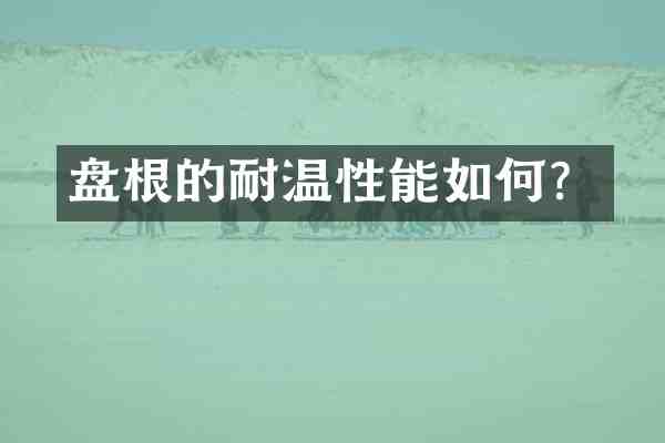 盘根的耐温性能如何?