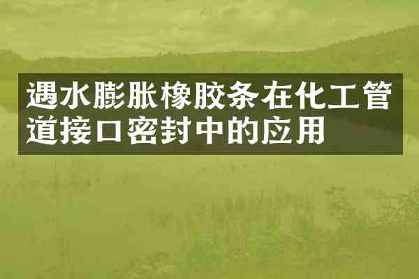 遇水膨胀橡胶条在化工管道接口密封中的应用