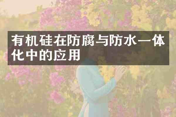 有机硅在防腐与防水一体化中的应用