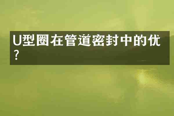U型圈在管道密封中的优势?