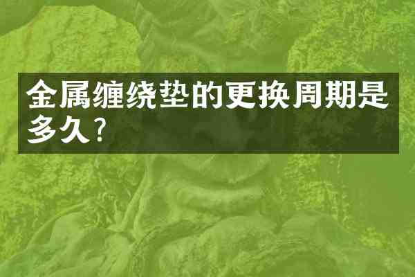 金属缠绕垫的更换周期是多久?