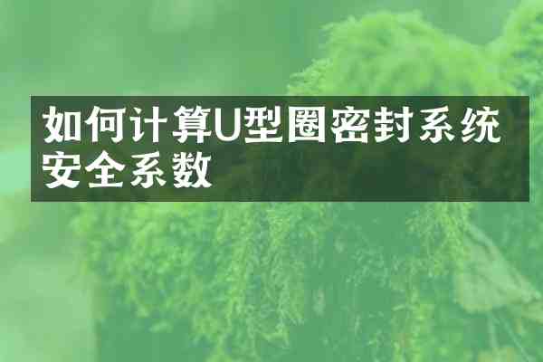 如何计算U型圈密封系统的安全系数
