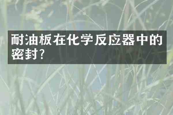 耐油板在化学反应器中的密封?