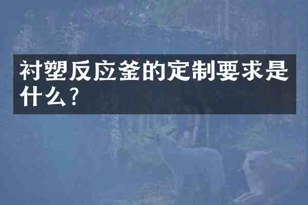 衬塑反应釜的定制要求是什么?
