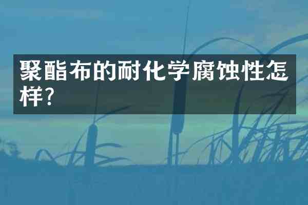 聚酯布的耐化学腐蚀性怎样?