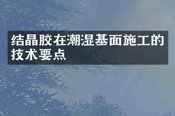 结晶胶在潮湿基面施工的技术要点