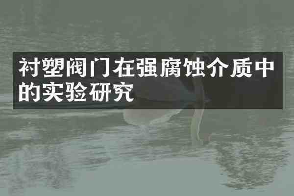 衬塑阀门在强腐蚀介质中的实验研究
