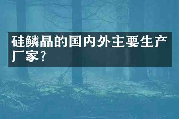 硅鳞晶的国内外主要生产厂家?