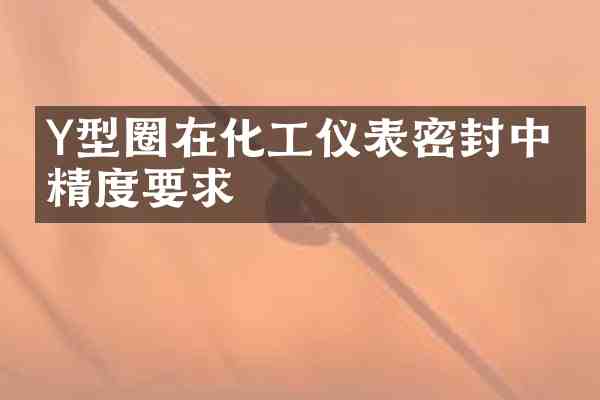 Y型圈在化工仪表密封中的精度要求