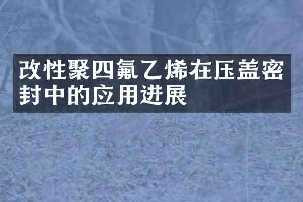 改性聚四氟乙烯在压盖密封中的应用进展