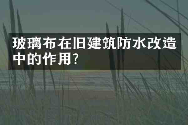玻璃布在旧建筑防水改造中的作用?