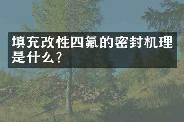 填充改性四氟的密封机理是什么?