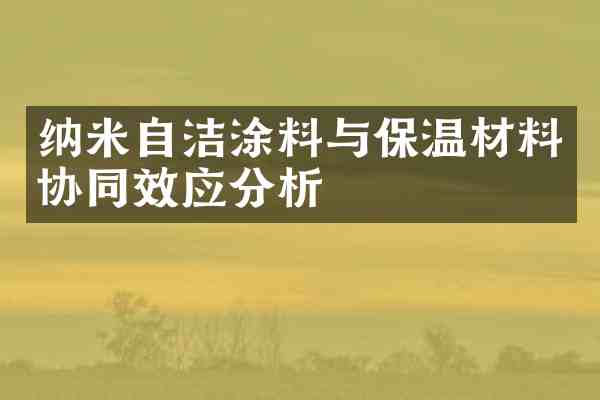 纳米自洁涂料与保温材料协同效应分析