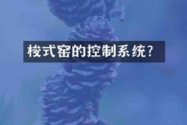 梭式窑的控制系统？