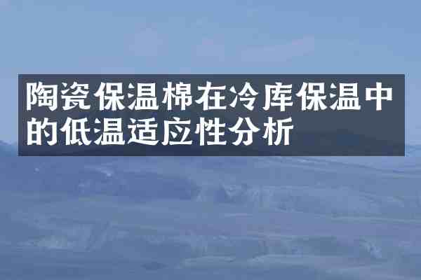 陶瓷保温棉在冷库保温中的低温适应性分析