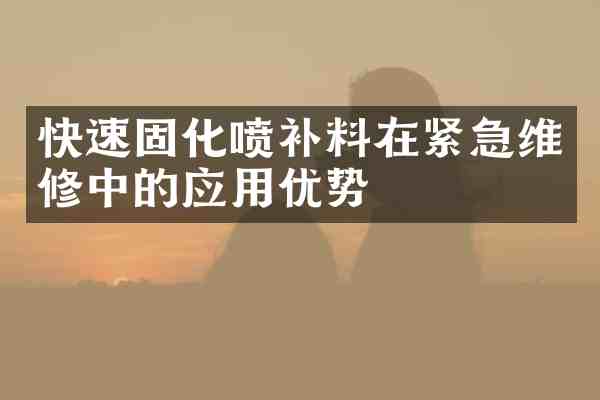 快速固化喷补料在紧急维修中的应用优势