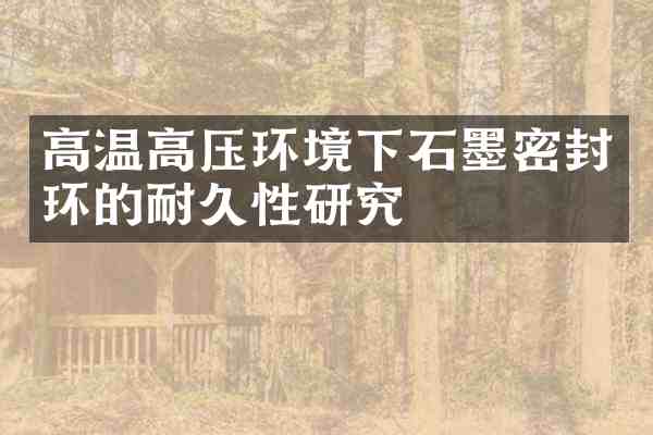 高温高压环境下石墨密封环的耐久性研究