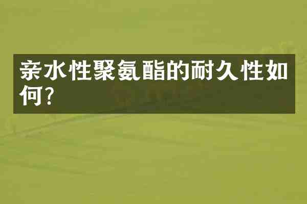 亲水性聚氨酯的耐久性如何？