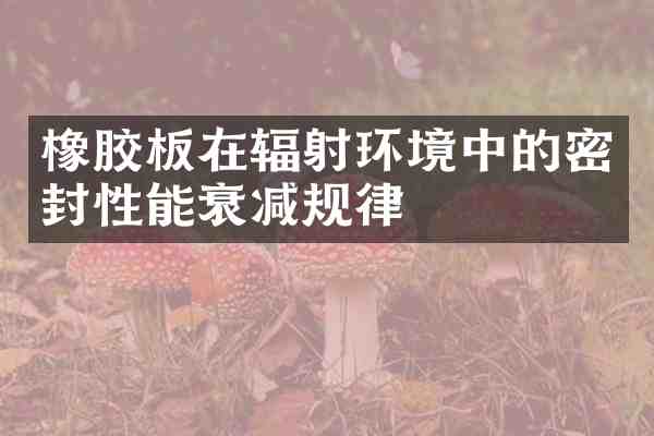 橡胶板在辐射环境中的密封性能衰减规律
